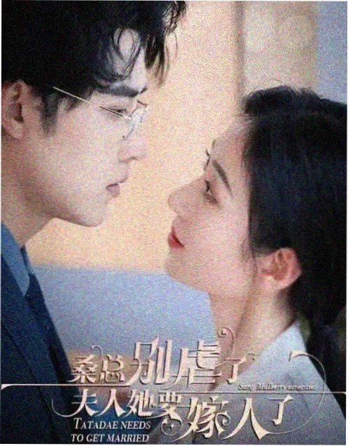 千灯巷19号剧集海报